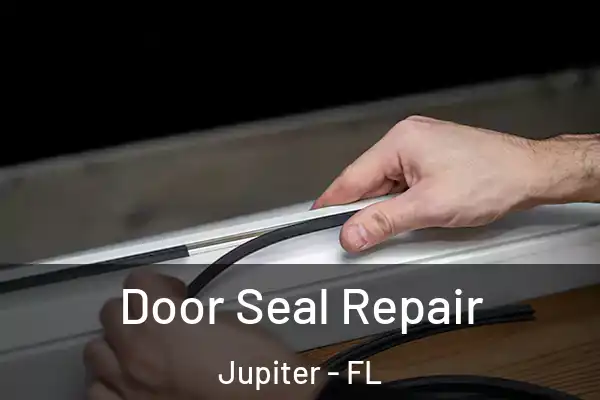 Door Seal Repair Jupiter - FL